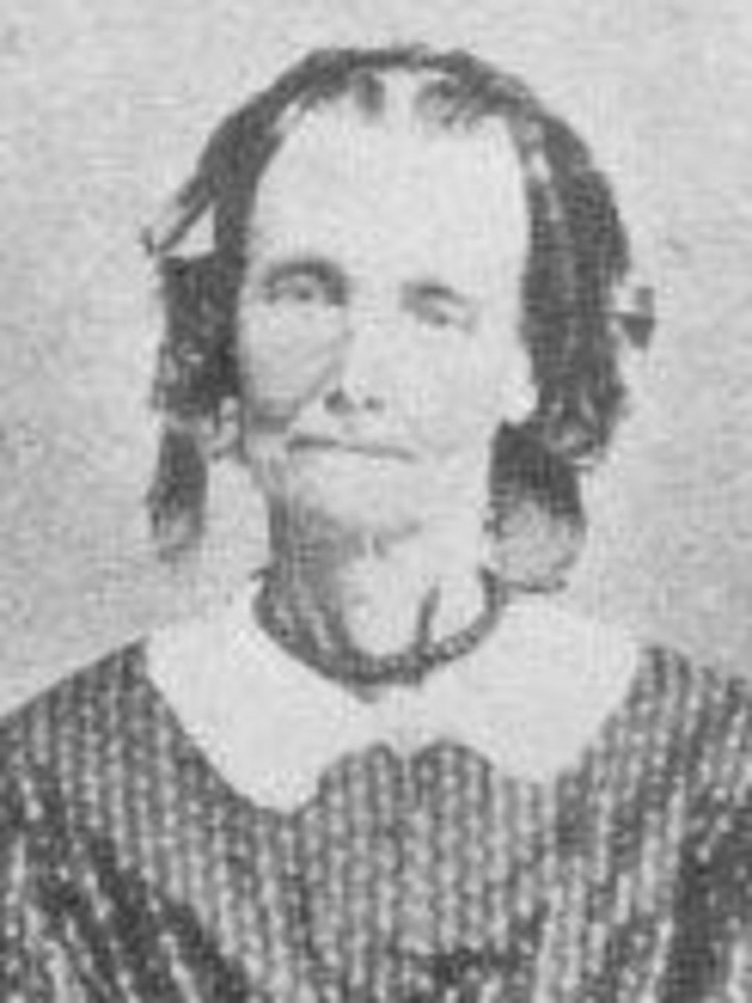 Elvira Annie Cowles (1813 - 1871) Profile